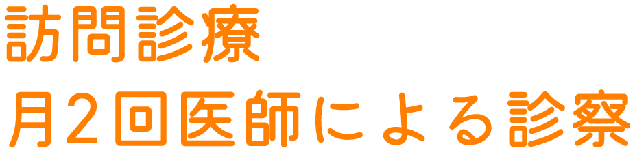 訪問診療 月2回医師による診察