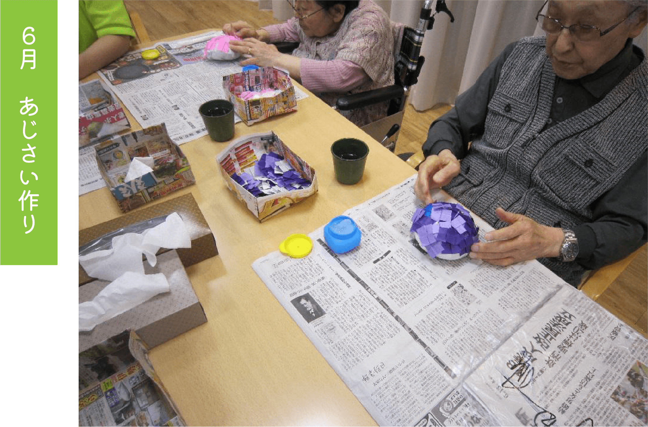 ６月　あじさい作り